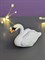 Молд белый лебедь🦢 2624