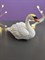 Молд белый лебедь🦢 2624